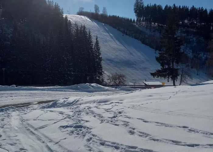 Haus Schoenek 아파트